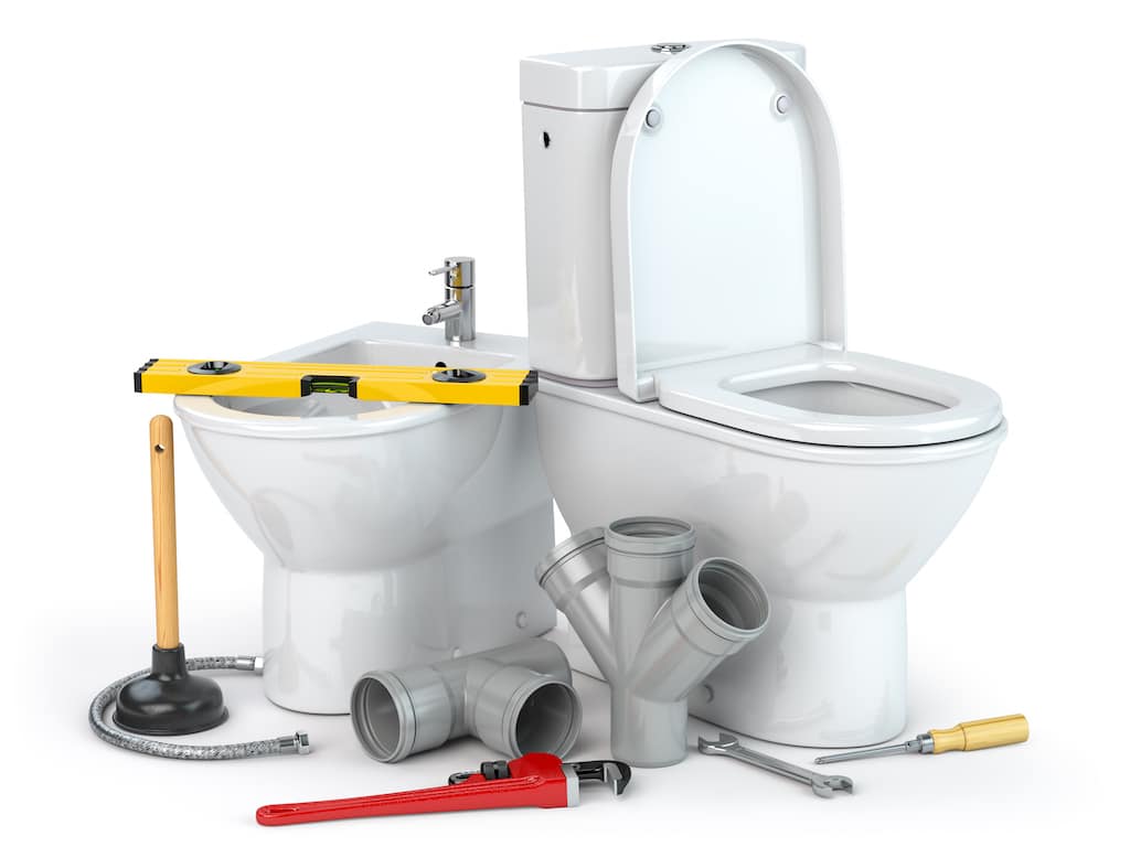 plumbing repair service toilet and bidet with plumb